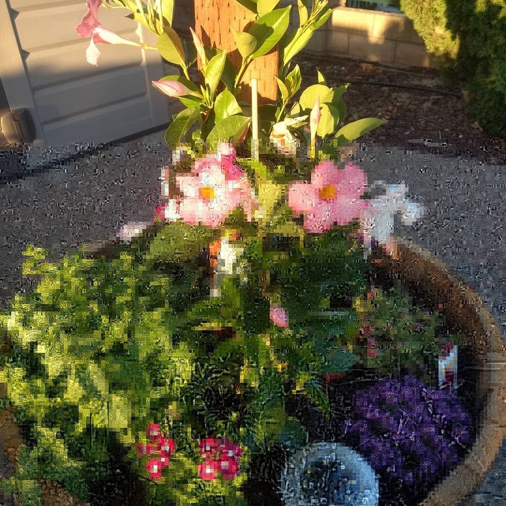 Callaghan The Handyman - Wine barrel planter with lighted post - Handyman Near Me