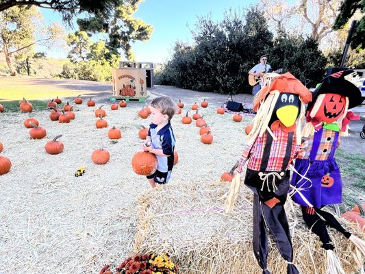 Kate Sessions Memorial Park by null