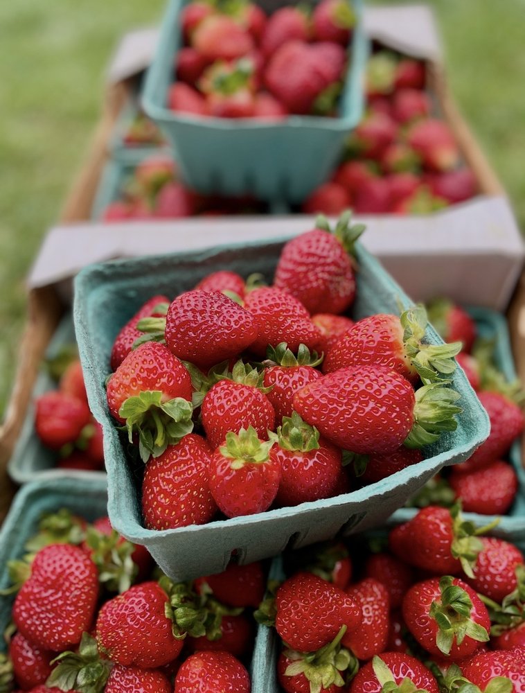 Providence Farm & CSA Logo