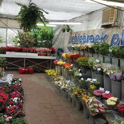 Tuincentrum Schiebroek