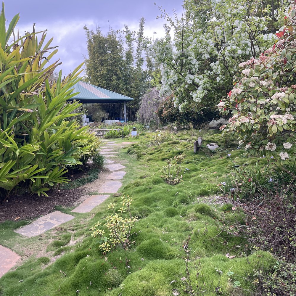Seaside Gardens - Nurseries & Gardening Near Me - Carpinteria, California