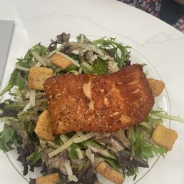 Salad Seared salmon, turkish apricots, almond, chèvre, cherry tomato and honey dijon vinaigrette on mixed greens Salad Seared salmon, turkish apricots, almond, chèvre, cherry tomato and honey dijon vinaigrette on mixed greens