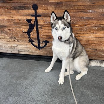 Mosley's Cafe - Dog friendly - Cafes Near Me - Alameda, California