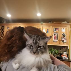 Bassler Veterinary Hospital