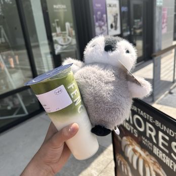 Feng Cha - Katy Green - Bubble Tea Near Me - Houston, Texas