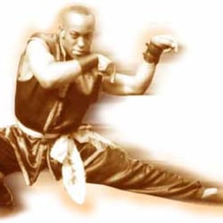 Northern Praying Mantis Kung Fu