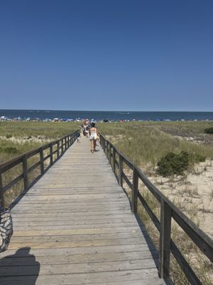 Crane Beach by null
