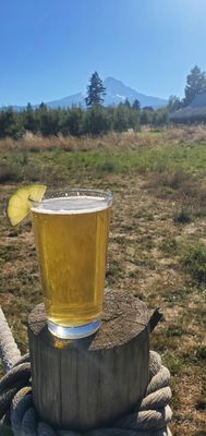 Solera Brewery by null