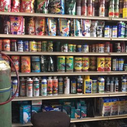 They have lots of fish food in stock.