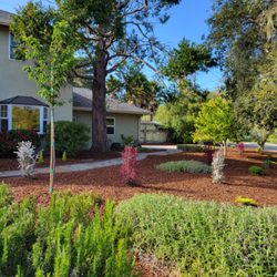 Santa Cruz Bay Yard Clean Ups And Tree Service