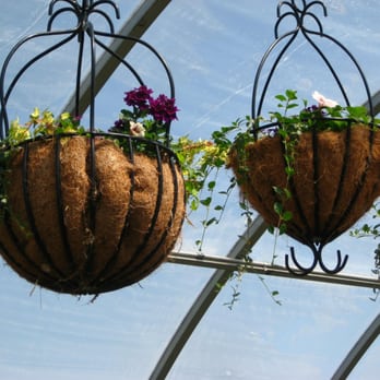 Country Gardens Nursery - Country Gardens Nursery - Potted Plants - Nurseries & Gardening Near Me - West Haven, Utah Country Gardens Nursery - Country Gardens Nursery - Potted Plants - Nurseries & Gardening Near Me - West Haven, Utah