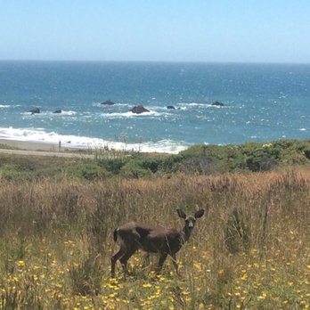 Bodega Bay Beach Home - Vacation Rentals Near Me - Bodega Bay, California Bodega Bay Beach Home - Vacation Rentals Near Me - Bodega Bay, California
