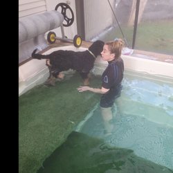 Kokoro Dog - Swim lessons
