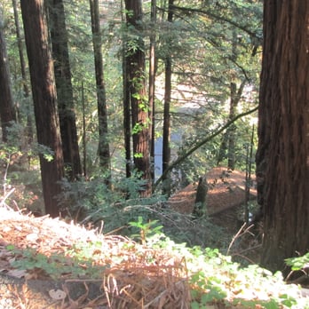 Russian River Rentals - Side of road coming from Seaton Hill House, 17735 Santa Rosa Lane, Guerneville, CA - Vacation Rentals Near Me Russian River Rentals - Side of road coming from Seaton Hill House, 17735 Santa Rosa Lane, Guerneville, CA - Vacation Rentals Near Me