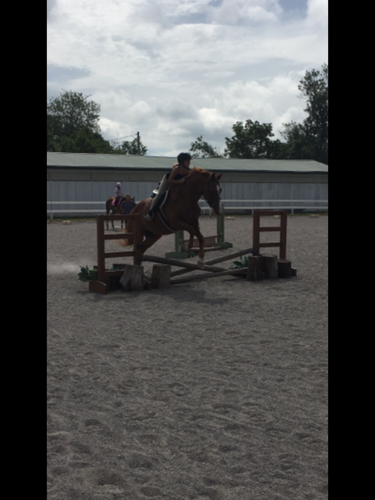 SAW HORSE FARM Updated October 2024 20 Red Bridge Rd, Gettysburg