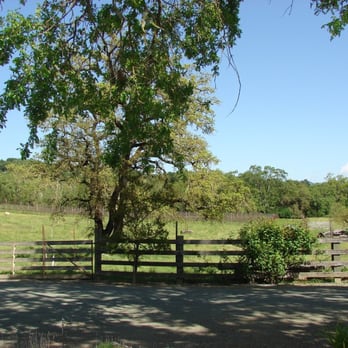 Seavey Vineyard - Wineries Near Me - Saint Helena, California Seavey Vineyard - Wineries Near Me - Saint Helena, California