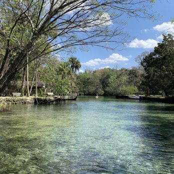 Blue Heaven River Tours - Boat Tours Near Me - Homosassa, Florida Blue Heaven River Tours - Boat Tours Near Me - Homosassa, Florida