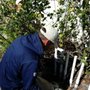 Photo of Thompson Irrigation & Landscape Lighting