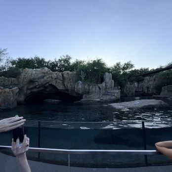 Houston Zoo - Zoos Near Me - Houston, Texas
