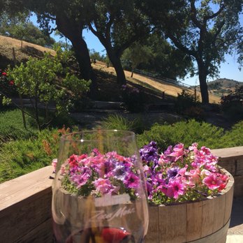 Zaca Mesa Winery - Beautiful day - Wineries Near Me - Los Olivos, California Zaca Mesa Winery - Beautiful day - Wineries Near Me - Los Olivos, California