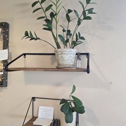 Arboretum Coffee