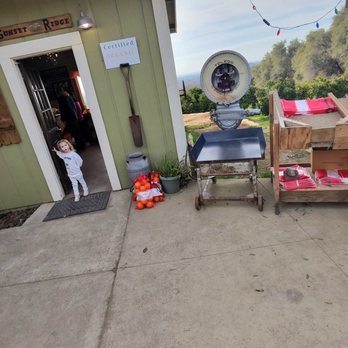 Sunset Ridge Fine Fruits - My lil one - Fruits & Veggies Near Me - Newcastle, California Sunset Ridge Fine Fruits - My lil one - Fruits & Veggies Near Me - Newcastle, California