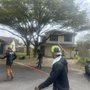 Photo of Ortiz Tree Trimming