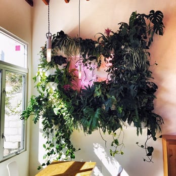 Dinosaur Coffee - Love this frame - Coffee & Tea Near Me - Los Angeles, California Dinosaur Coffee - Love this frame - Coffee & Tea Near Me - Los Angeles, California