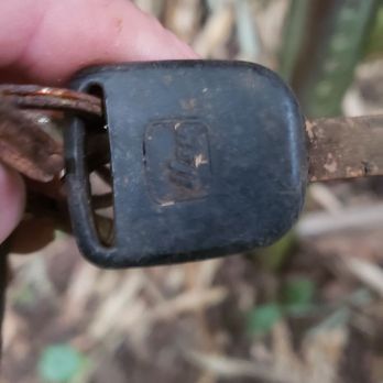 Aihualama Trail - Lost keys - Hiking Near Me - Honolulu, Hawaii