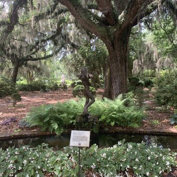 Brookgreen Gardens - More trees - Museums Near Me - Murrells Inlet, South Carolina