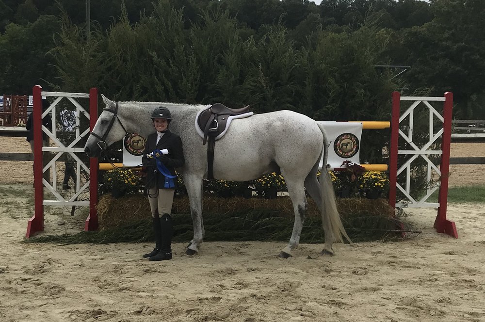 BALD CYPRESS EQUESTRIAN 31729 Spearin Rd, Salisbury, MD Yelp