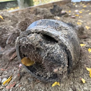 Sewer Surgeons Nw - Check out this roots CRAZY. - Plumbing Near Me Sewer Surgeons Nw - Check out this roots CRAZY. - Plumbing Near Me