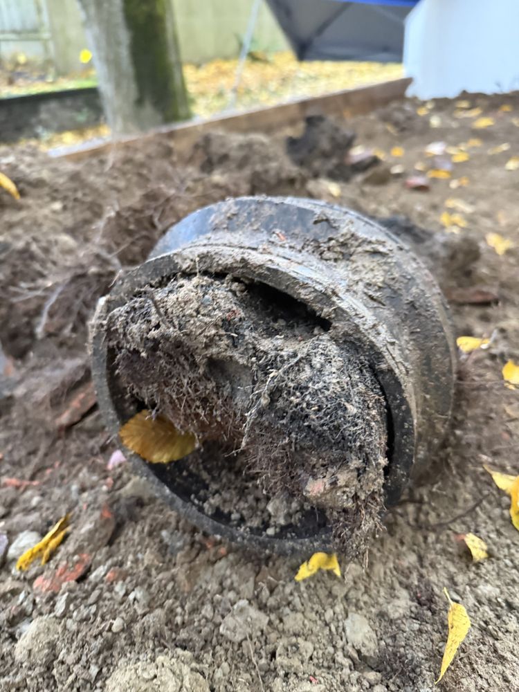 Slide of Sewer Surgeons Nw