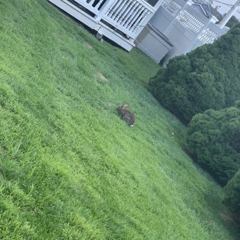 Point Pleasant Manor - Rabbit - Hotels Near Me - Point Pleasant Beach, New Jersey