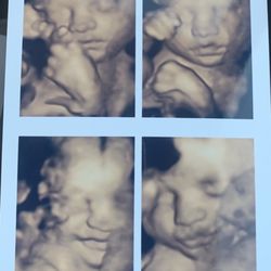 A Precious Glimpse