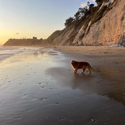Arroyo Burro Beach