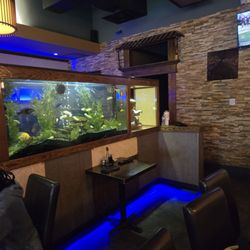 Urban Japanese Fusion Cuisine - Fish tank