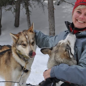 Snowy Owl Sled Dog Tours - The dogs were loveable. (Excaliber) - Tours Near Me - Canmore, Alberta Snowy Owl Sled Dog Tours - The dogs were loveable. (Excaliber) - Tours Near Me - Canmore, Alberta