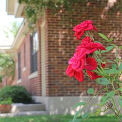 Pine Grove Behavioral Health & Addiction Services