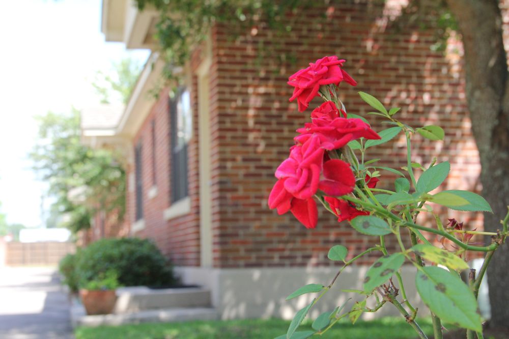 Pine Grove Behavioral Health & Addiction Services - patient advocate in Hattiesburg, MS