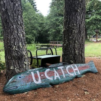 Veronia Springs - Campgrounds Near Me - Vernonia, Oregon Veronia Springs - Campgrounds Near Me - Vernonia, Oregon