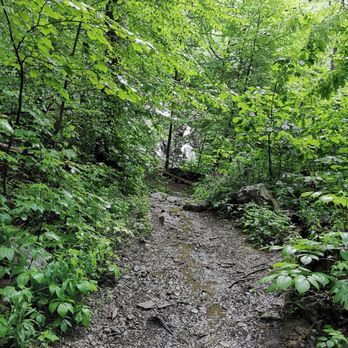 Black Rock Forest Consortium - Rocky path - Hiking Near Me - Cornwall On Hudson, New York Black Rock Forest Consortium - Rocky path - Hiking Near Me - Cornwall On Hudson, New York