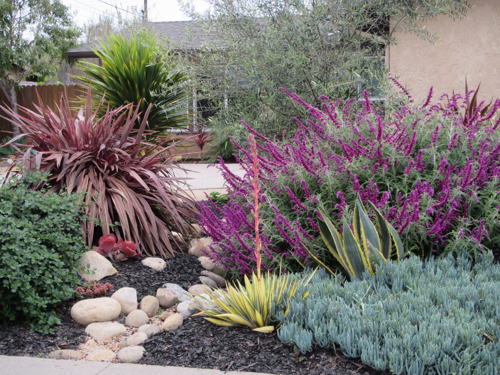 CLASSIC LANDSCAPING Updated May 2024 12 Photos Carpinteria