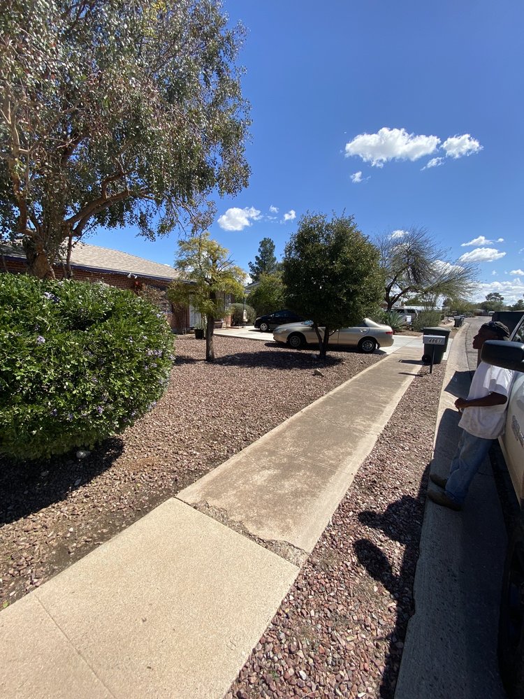 Rising Sons Yard Services - tree service in Tucson, AZ