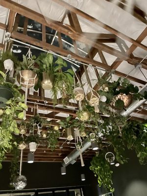 The Green Room by null