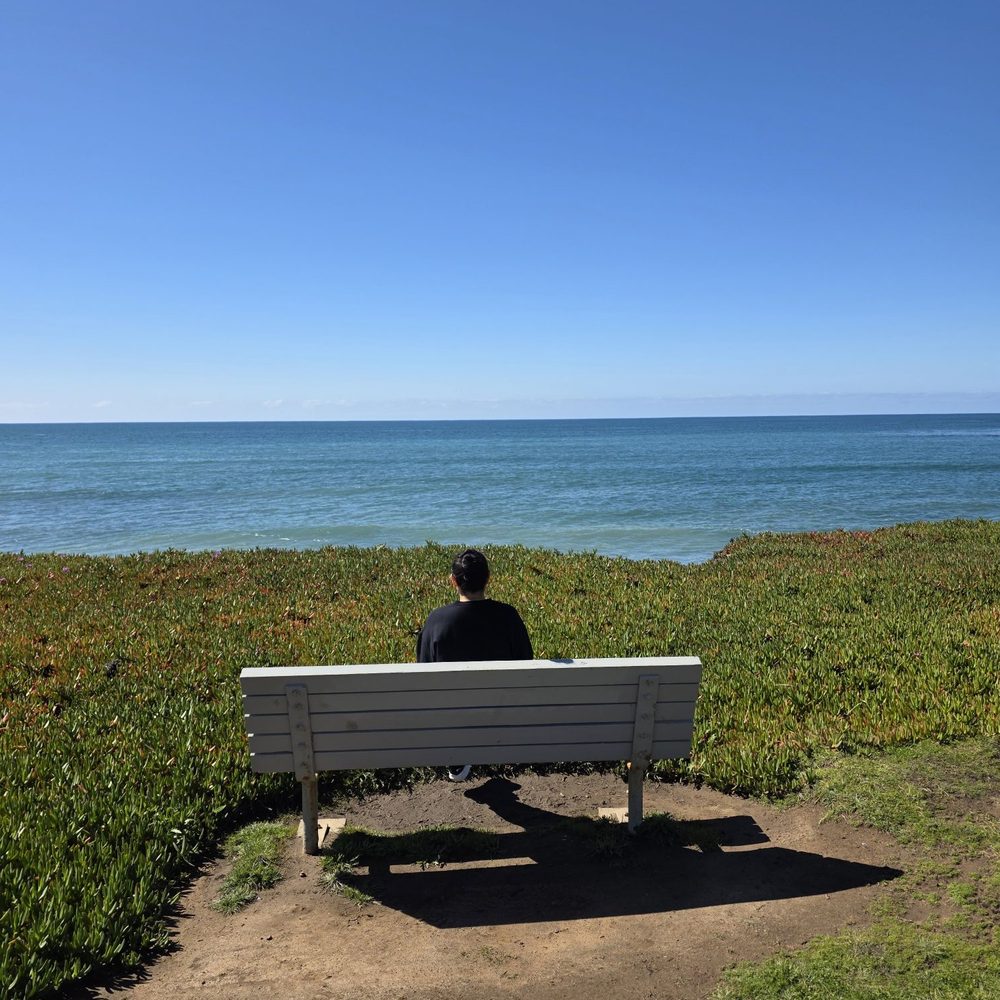 Cavalier Oceanfront Resort - So many benches to sit on and enjoy the ocean - Resorts Near Me - San Simeon, California Cavalier Oceanfront Resort - So many benches to sit on and enjoy the ocean - Resorts Near Me - San Simeon, California