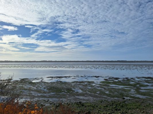 Oregon Coast Scenic Railroad - Rockaway Beach Station by null
