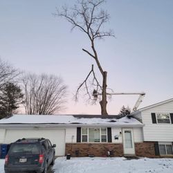 Johnson's Tree Service