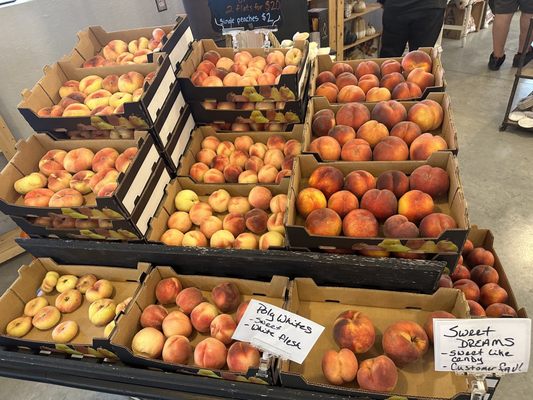 Packer Orchards And Farm Place by null