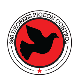 360 Degrees Pigeon Control